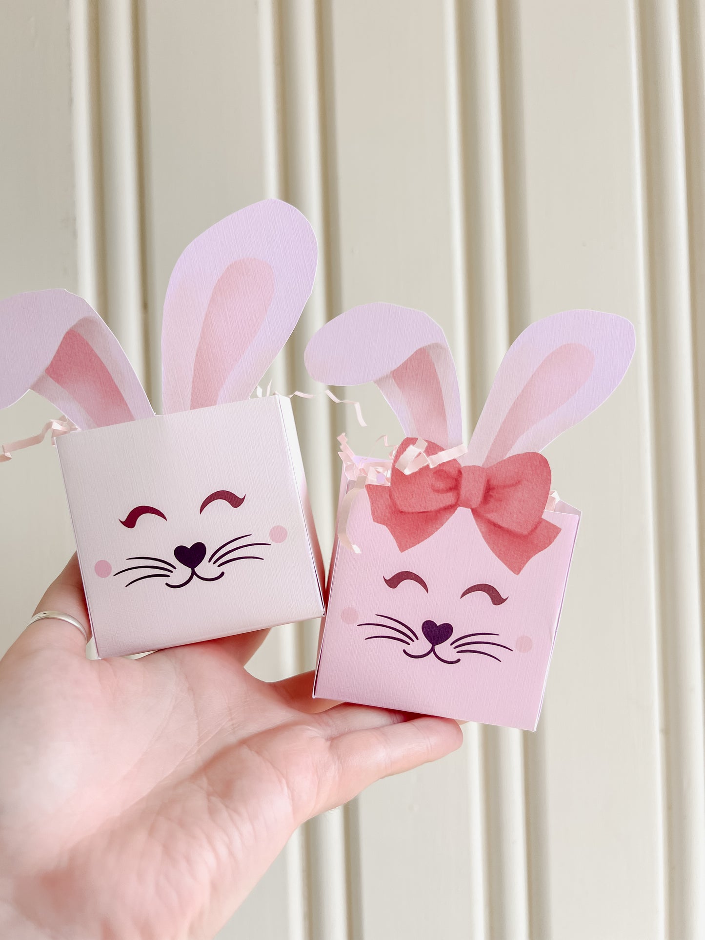 Bunny Boxes