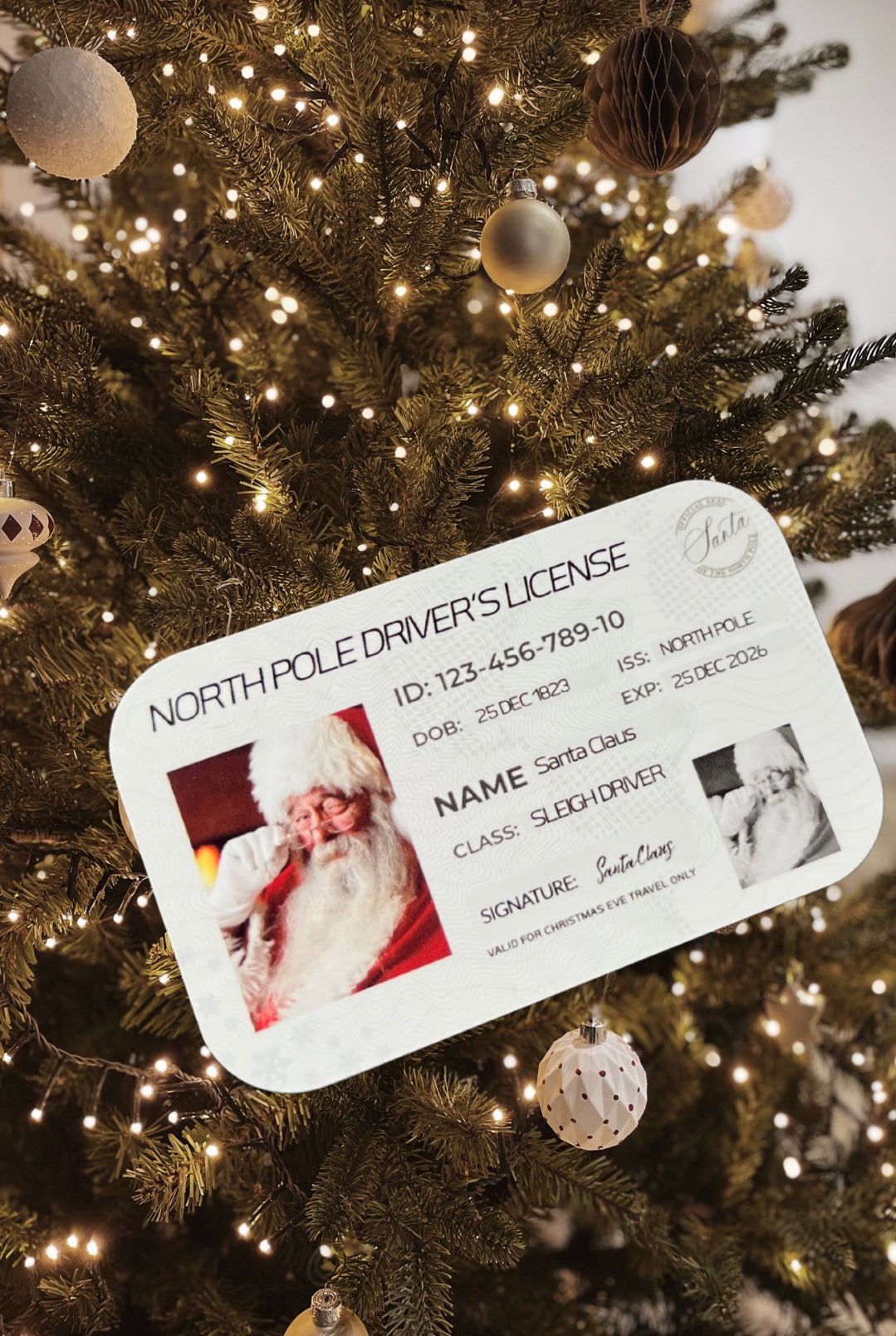Santa’s Sleigh License