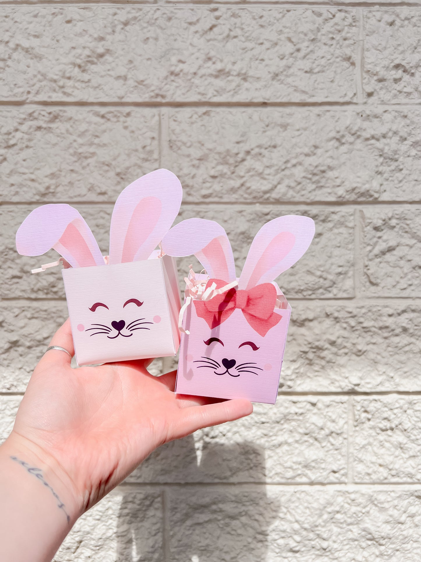 Bunny Boxes