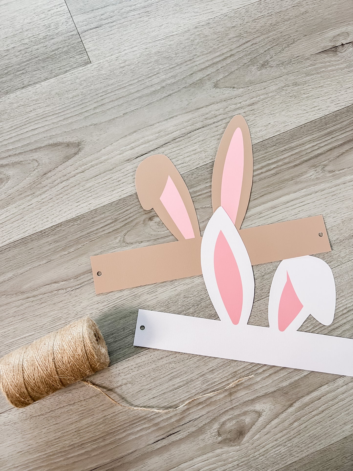 Easter Ears Activity